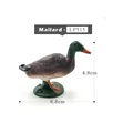 Mallard