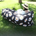 Black Daisy