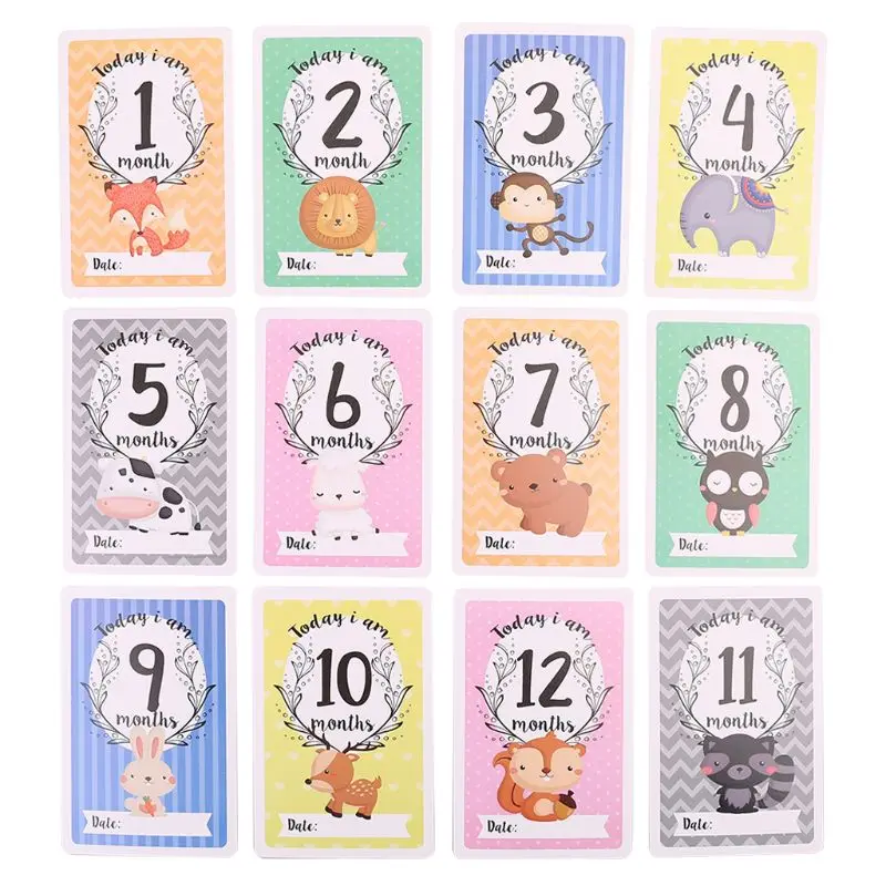 monthly card-13-12pc