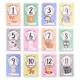 monthly card-13-12pc