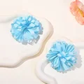813-17 hair hoop