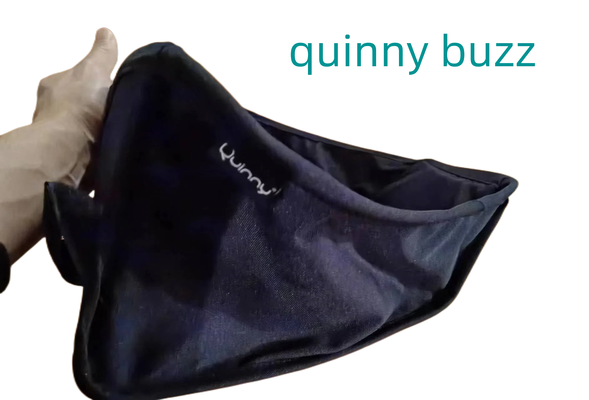 quinny buzz