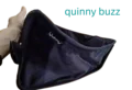 quinny buzz