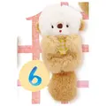 6