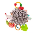 Grey Hedgehog