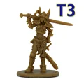 T3