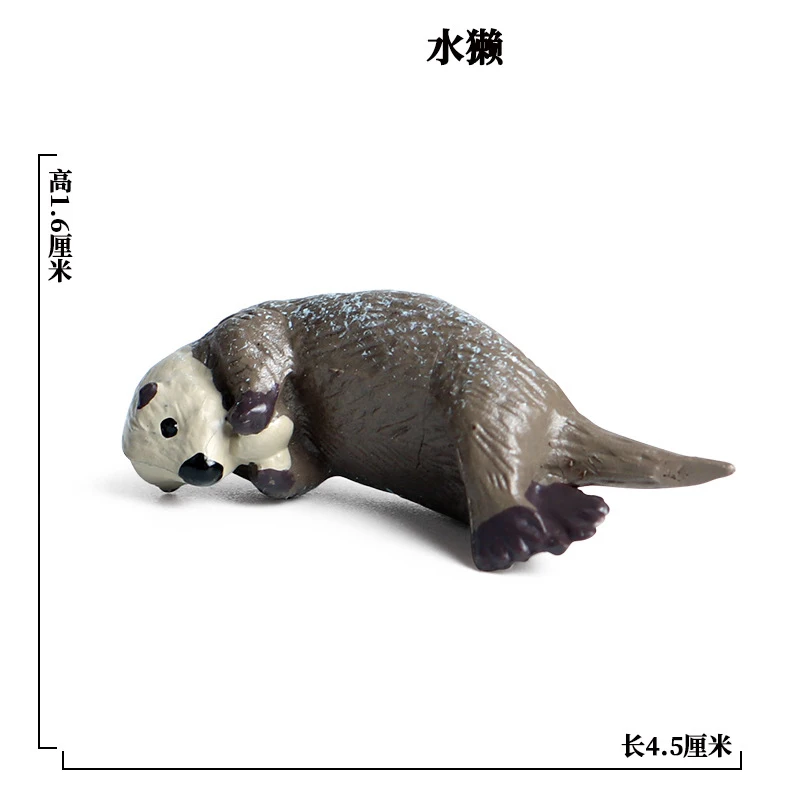 SEA LIFE - 20