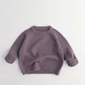 KY107-purple