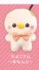 chick orange