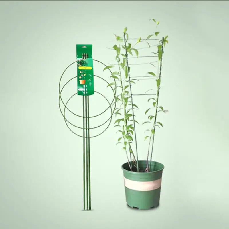 Soporte plantas trepadoras infantil con enrejado decorativo jardín - imagen 5