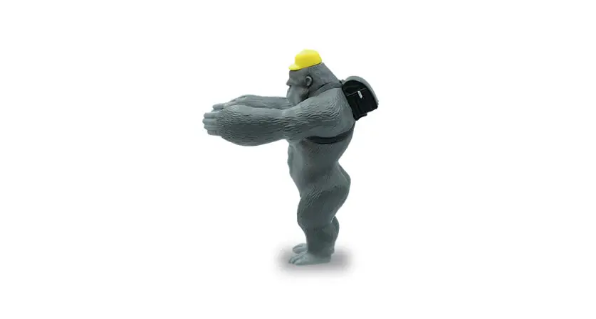 Gorilla in front