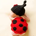 Lace ladybug