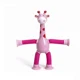 Giraffe D
