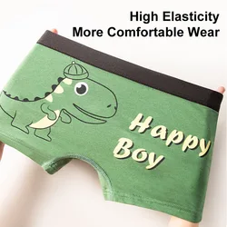 Calzoncillos Boxer algodón estampado dinosaurio para niño