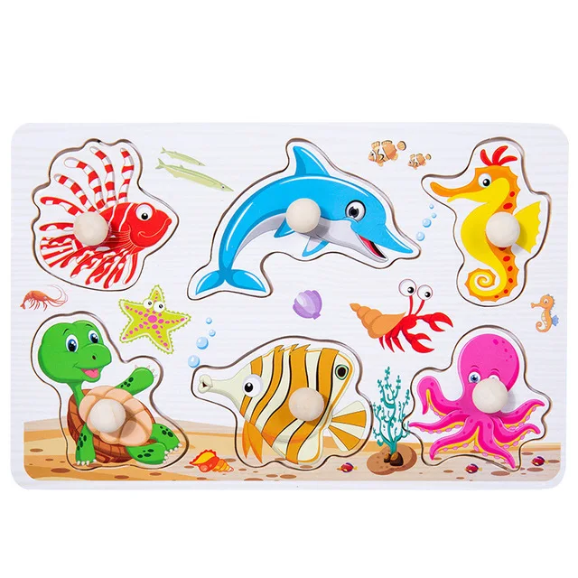 Ocean Animal