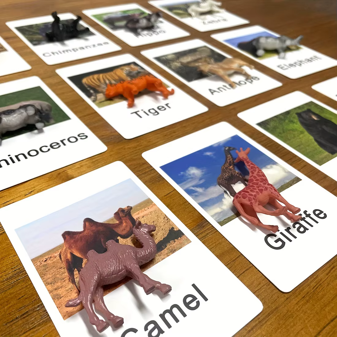 Tarjetas educativas de animales para niños – Aprendizaje idiomas Montessori - imagen 4