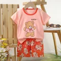 Style30