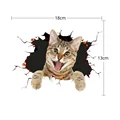 D cat 1PCS