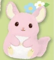 Chinchilla pink