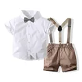 tzd3538-chocolate
