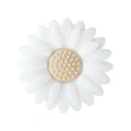 Sunflower A