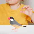 style A