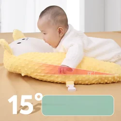 Almohada anti reflujo para bebé con soporte avión y antiescupir