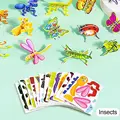 Insects