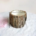 Short 10cm bark buck