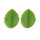 vivid green