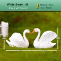 White Swan M