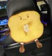 toast 19