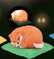 Red shiba