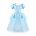 Cinderella DressOnly