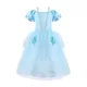Cinderella DressOnly
