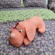 mesh Orange