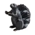 skunk