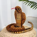 orange cobra