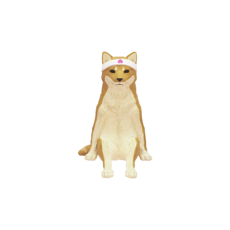 shiba inu dog