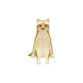shiba inu dog