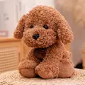 Poodle