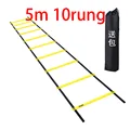 5m 10rung