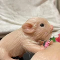 Open eye White Hair