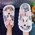 rabbit