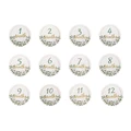 12pcs A