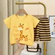 18 Yellow Giraffe