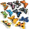 12pcs Butterfly