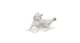 Sabatra cat