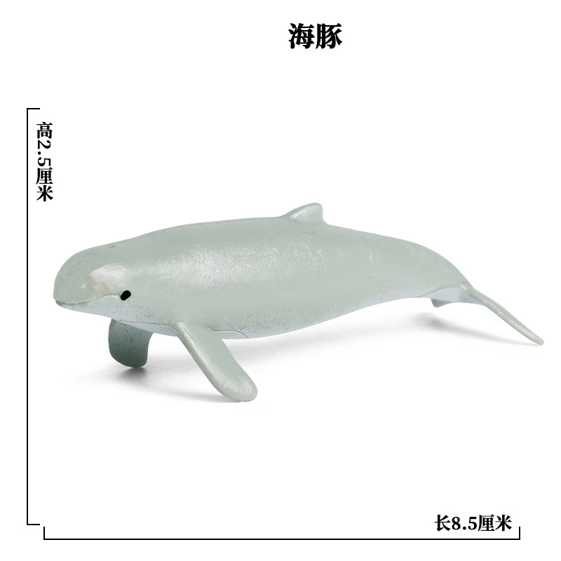 SEA LIFE - 12
