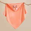 little orange cat